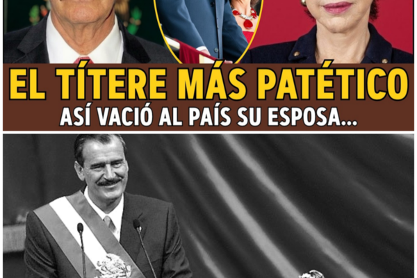 Vicente Fox: La Caída del Presidente del Cambio