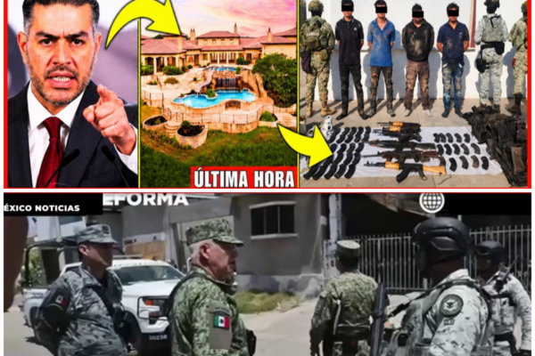 Operativo Federal en Sinaloa: La Captura del Armamento y la Respuesta ...