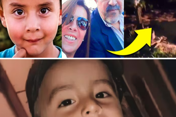 ¡HALLAZGO IMPACTANTE EN LA RUTA 12! UN NUEVO DESCUBRIMIENTO REAVIVA LA...