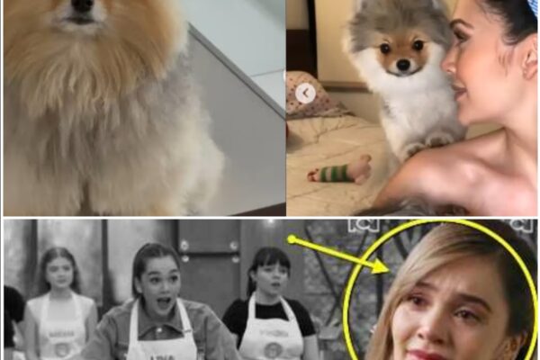 ¡Lágrimas y desconsuelo en MasterChef! Lina Tejeiro rompe el silencio ...