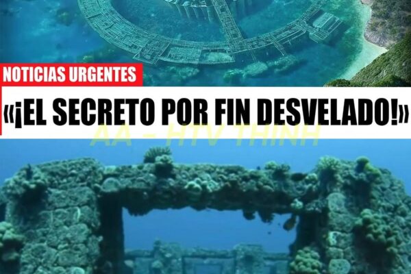 Una antigua ciudad perdida emergió del océano… y lo que encontraron al...