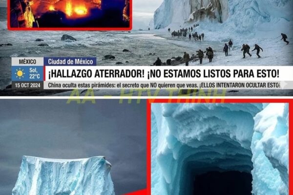 ¡COLAPSA la muralla de hielo en la Antártida! El mundo oculto que JAMÁ...