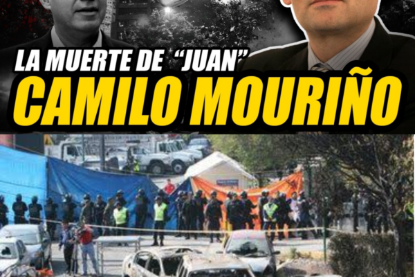 : Accidente aéreo, Negligencia o Algo Más.