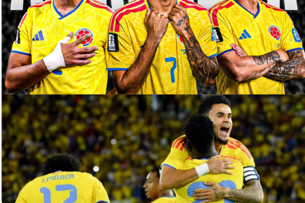 Nadie Quiere Enfrentarse A Esta Selección Colombia