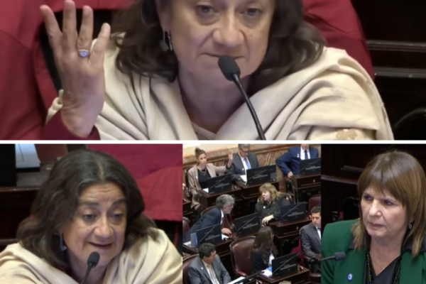 ¡¡SE HARTÓ Y EXPLOTÓ EN PLENO SENADO!! LA SENADORA DE CATAMARCA ENFREN...