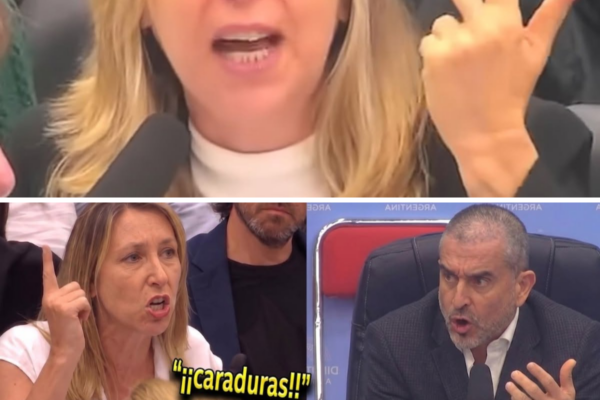 ¡BREGMAN SE PLANTÓ EN PLENA COMISIÓN Y DESATÓ UN FUERTE CRUCE CON LOS ...